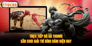 Trực Tiếp Đá Gà Thomo - Sân Chơi Giải Trí Đình Đám Hiện Nay
